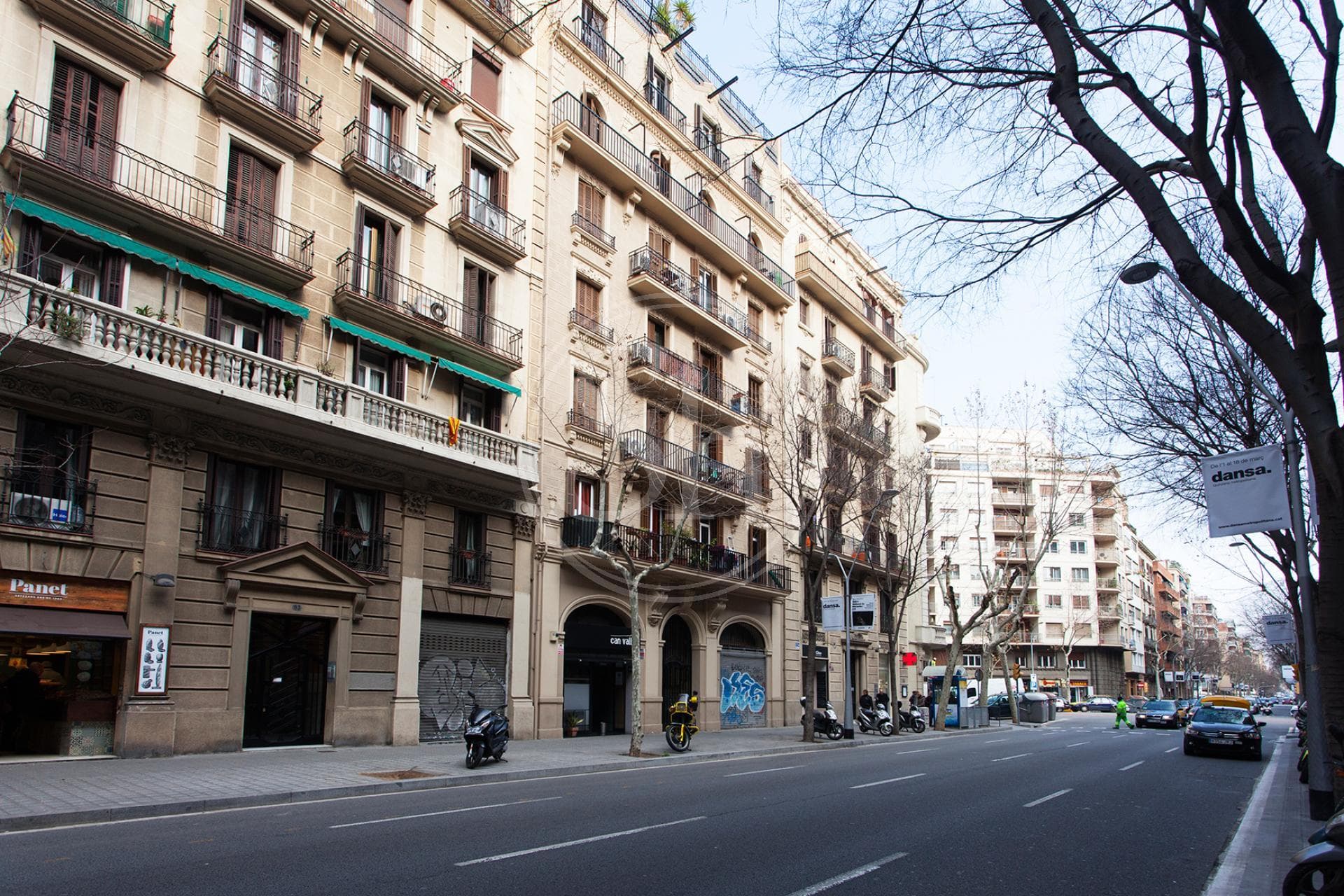 property_image_20