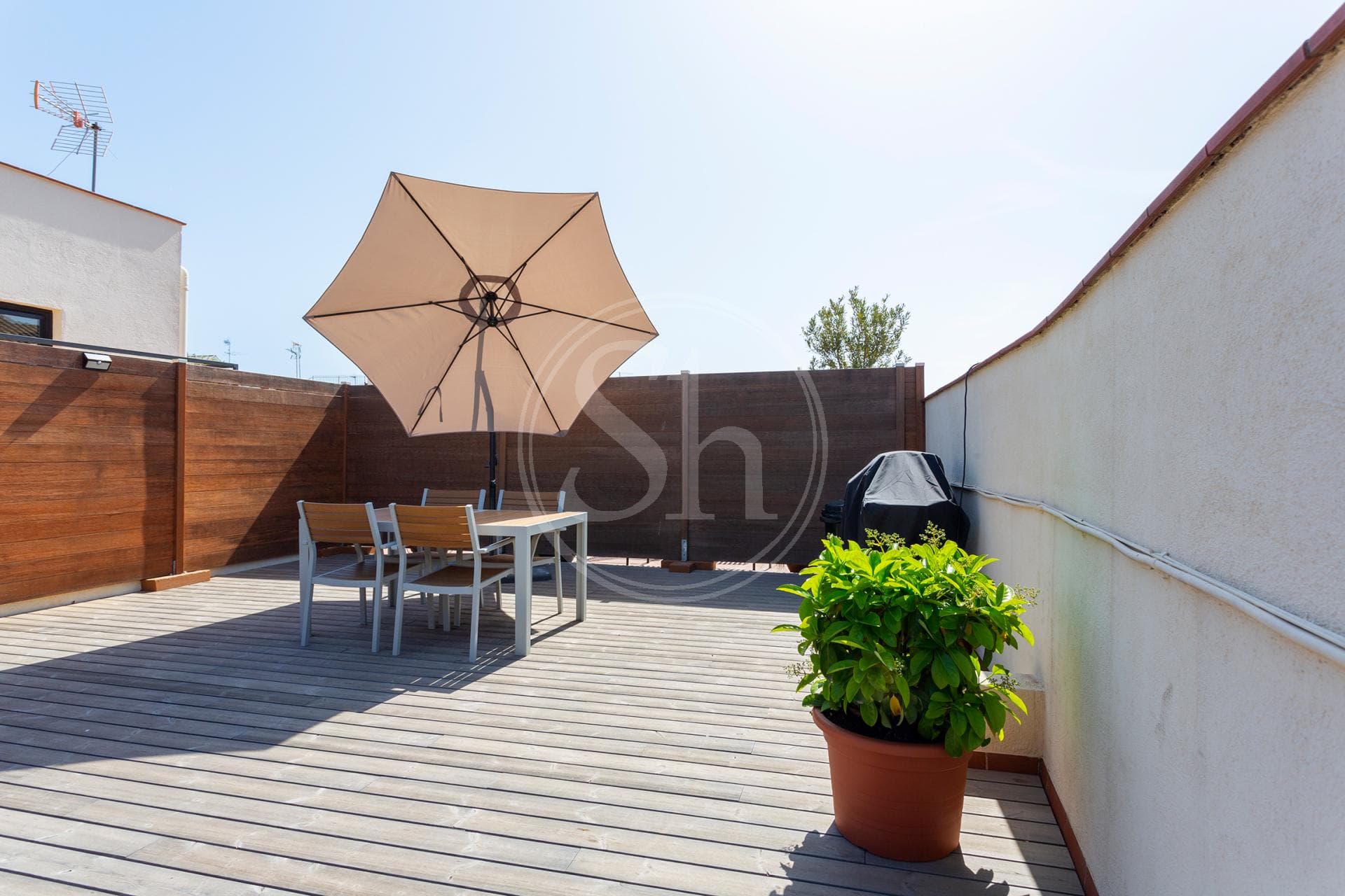 property_image_20