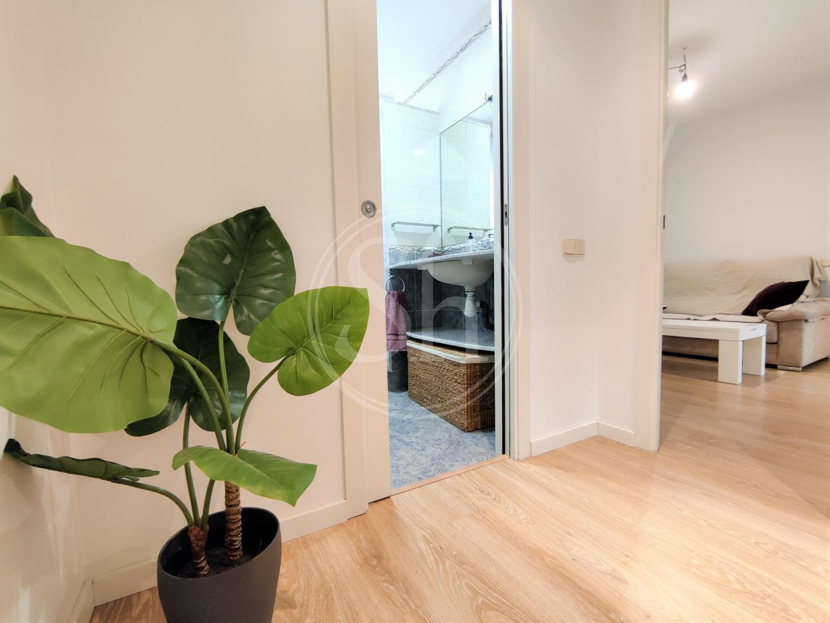 property_image_4