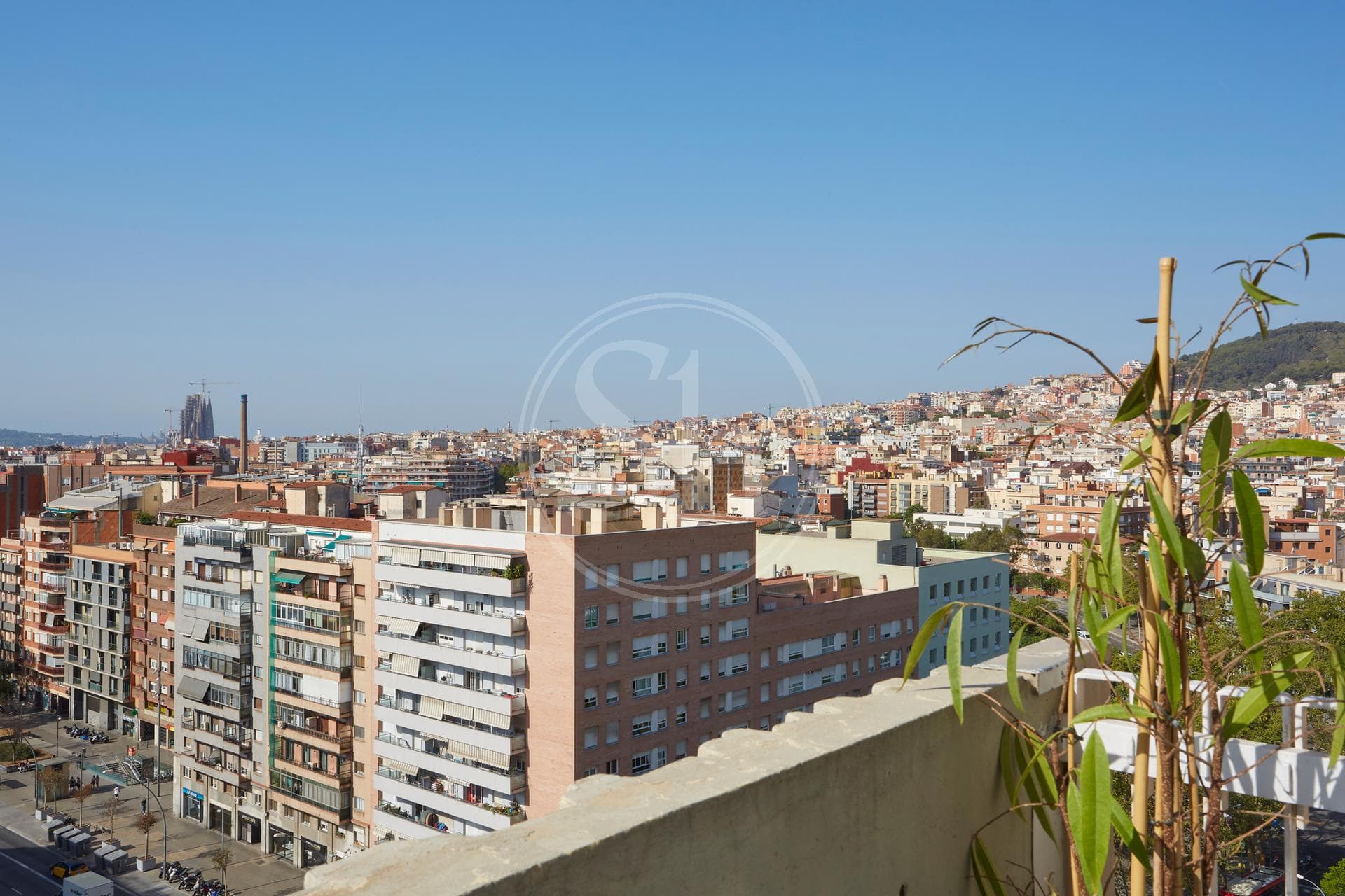property_image_17