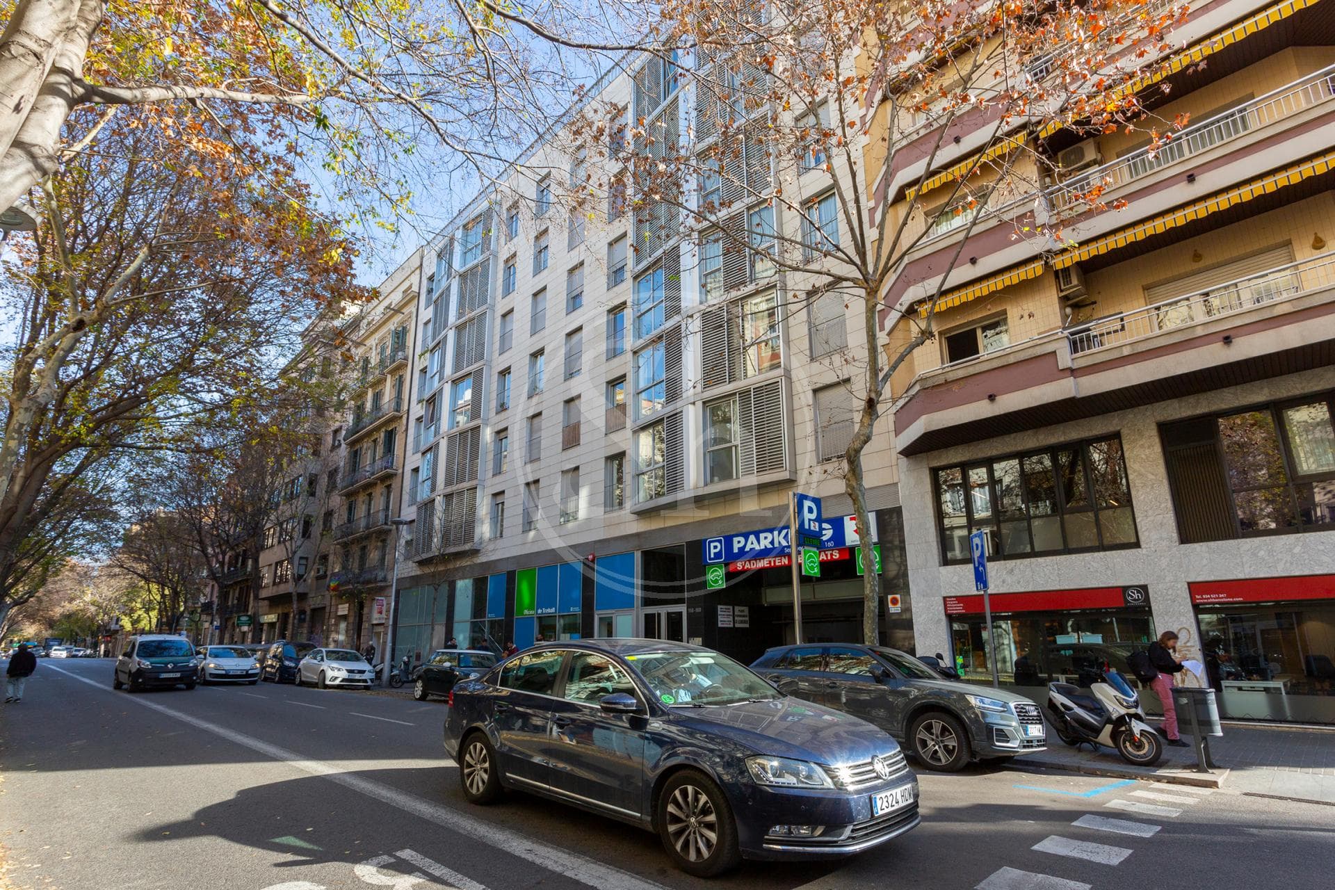 property_image_20