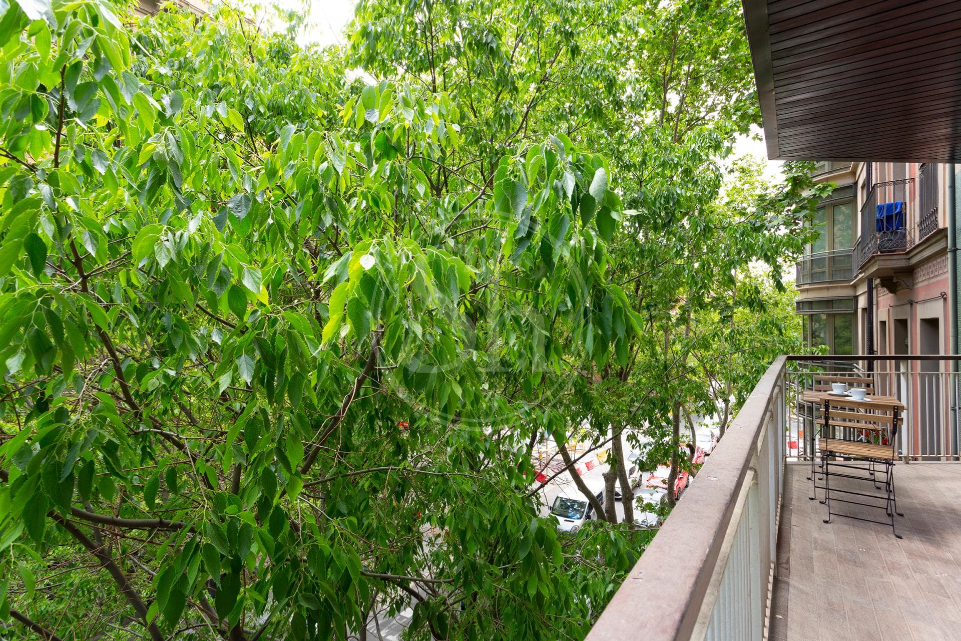 property_image_10
