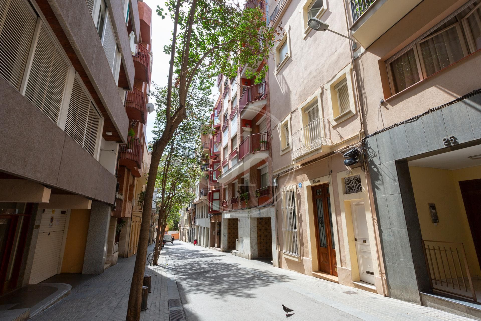 property_image_23