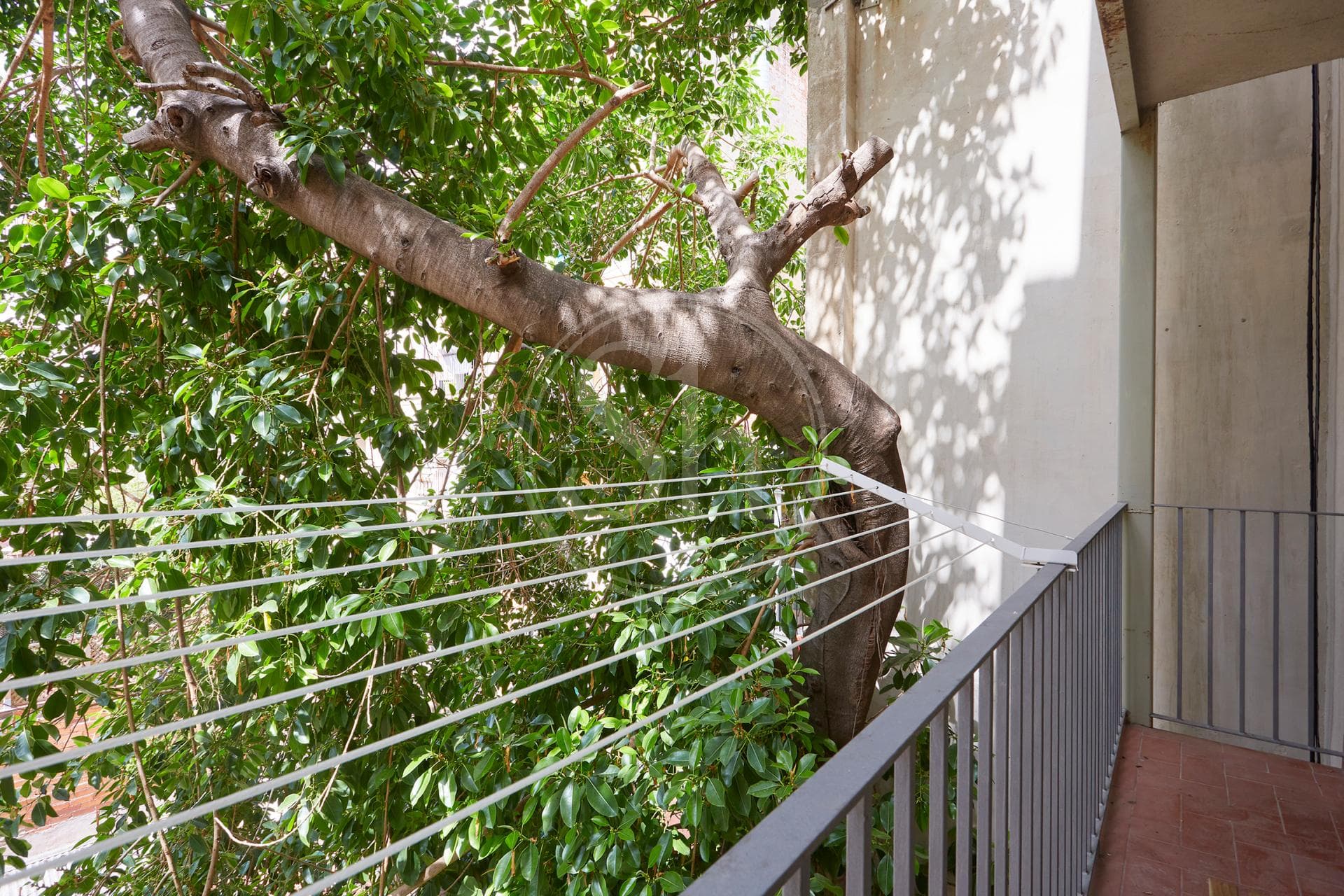 property_image_9