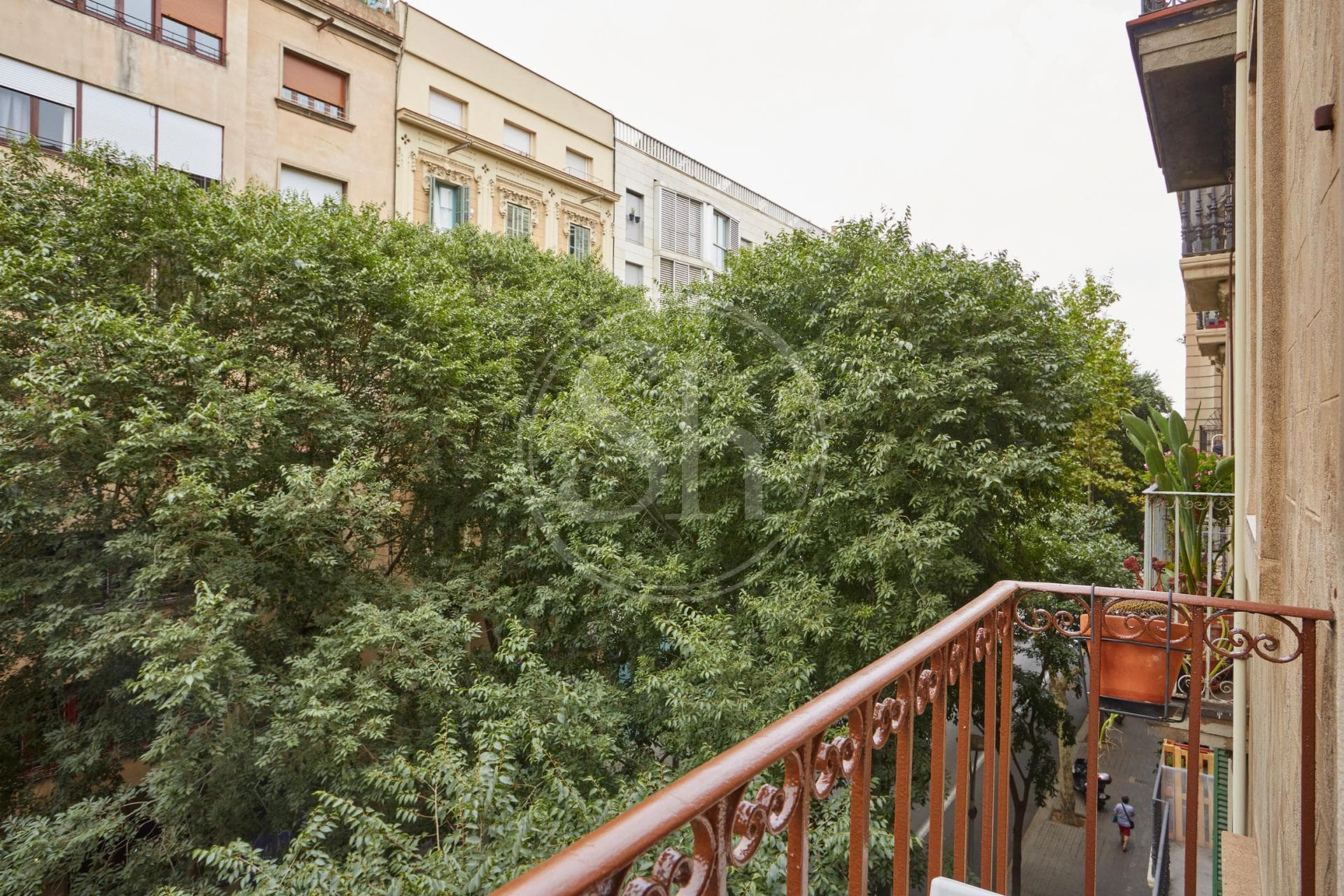 property_image_10