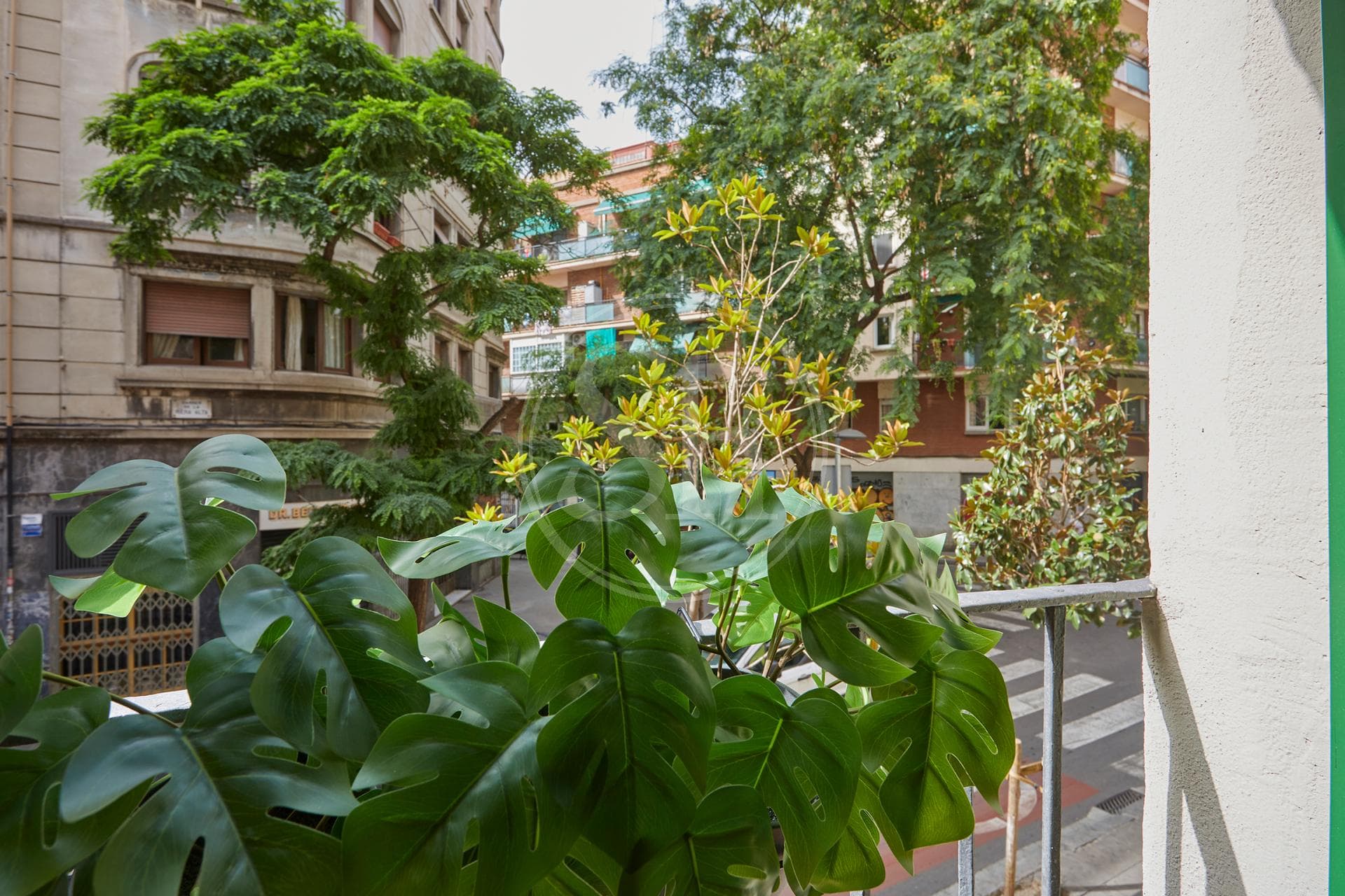 property_image_14