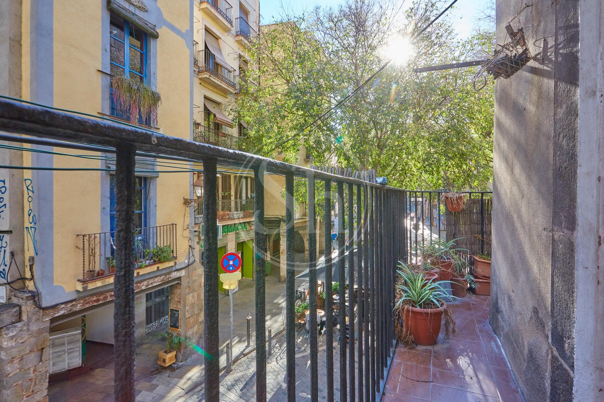 property_image_11