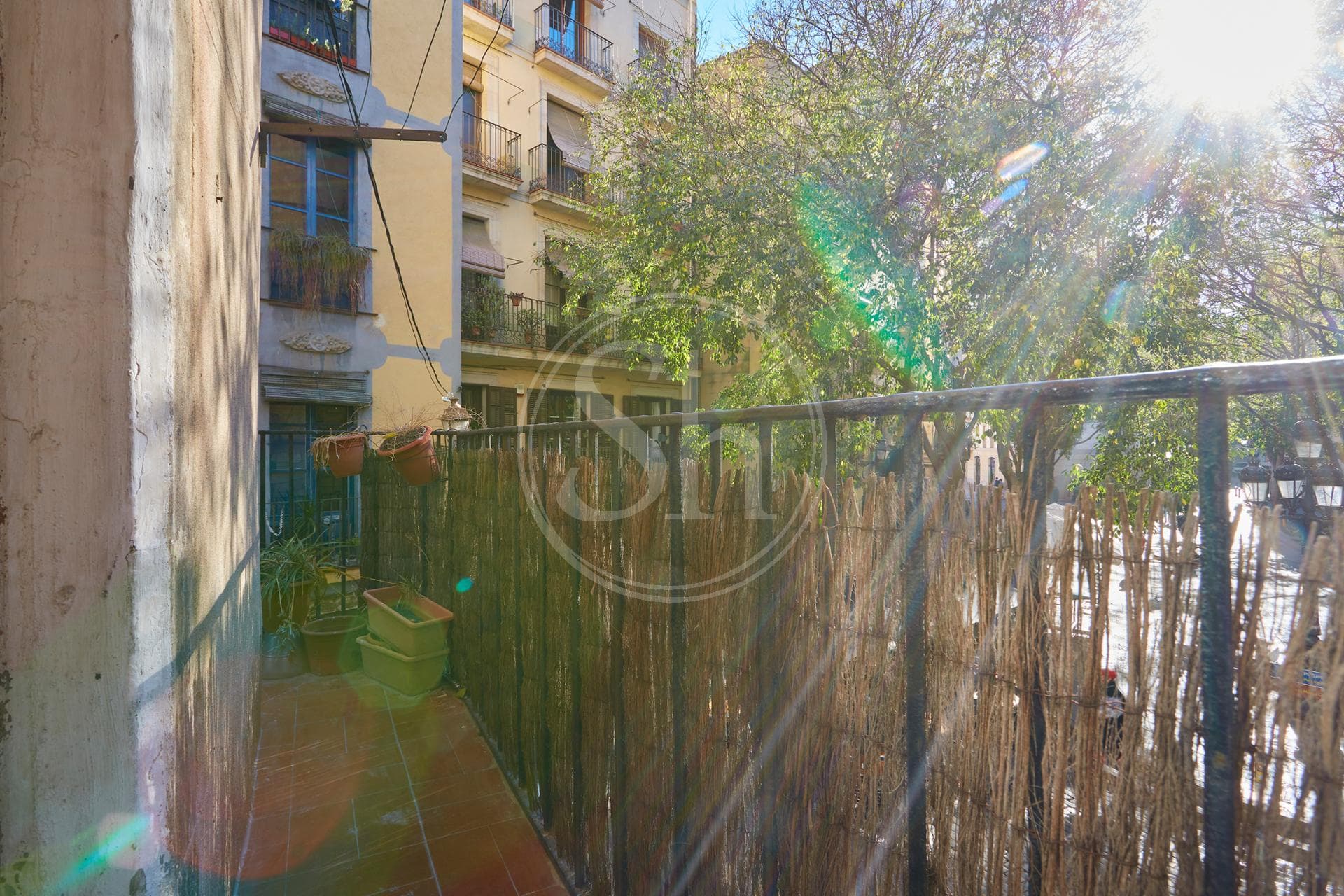 property_image_10