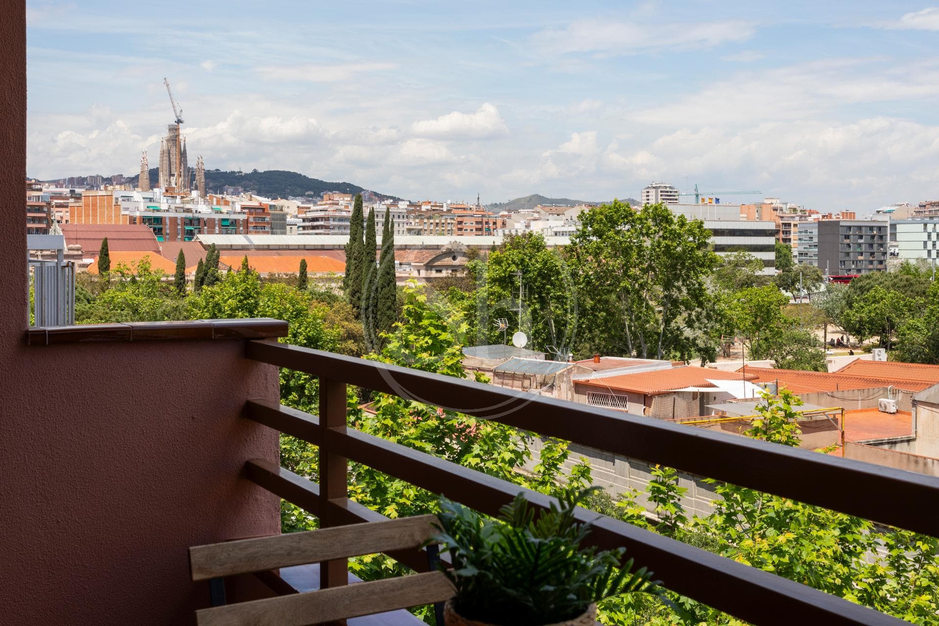 property_image_7