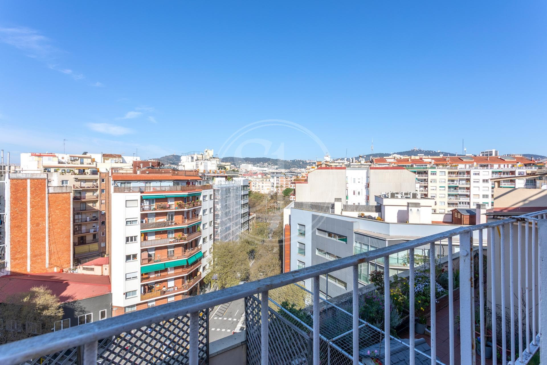 property_image_17