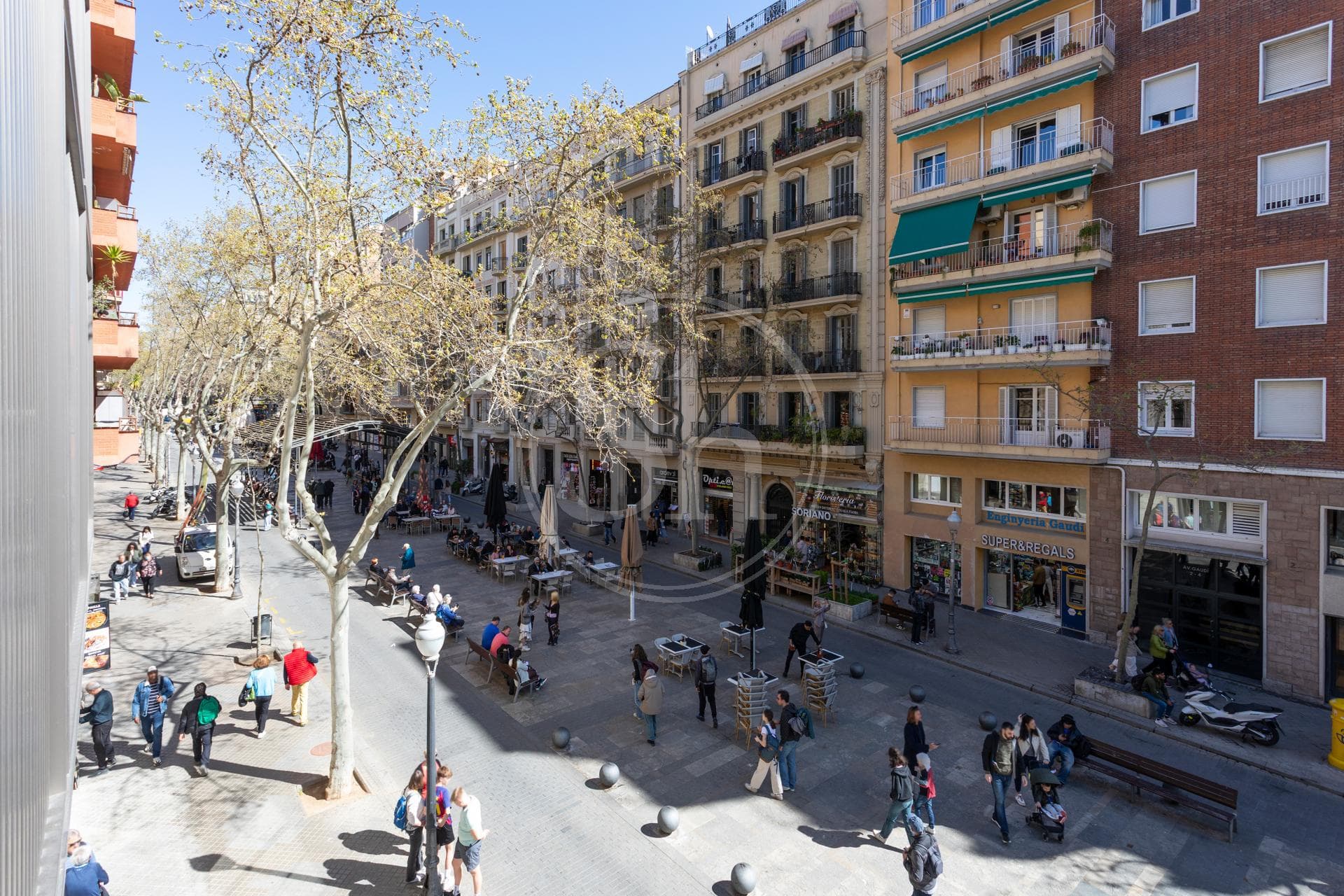 property_image_33