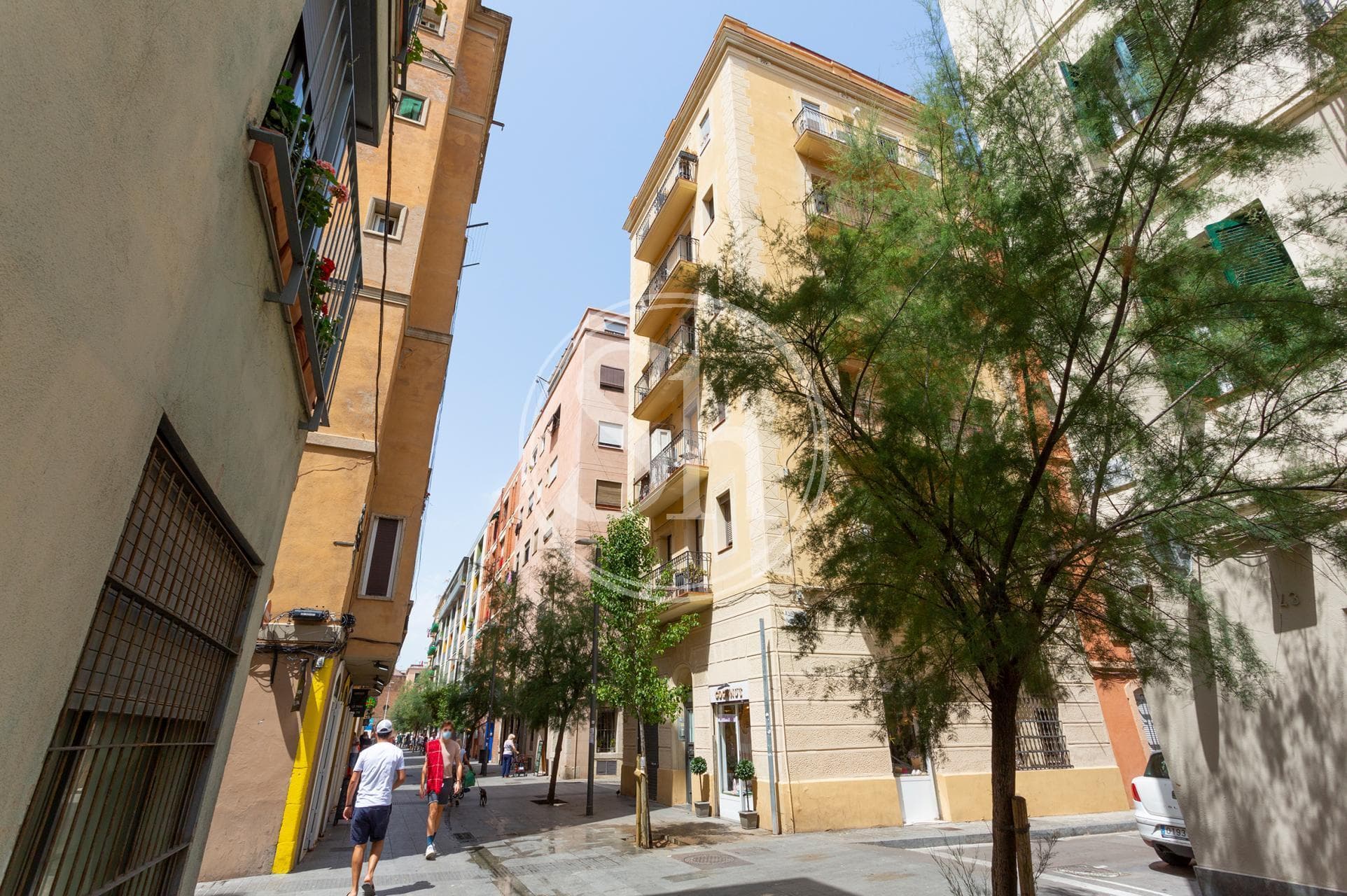 property_image_17
