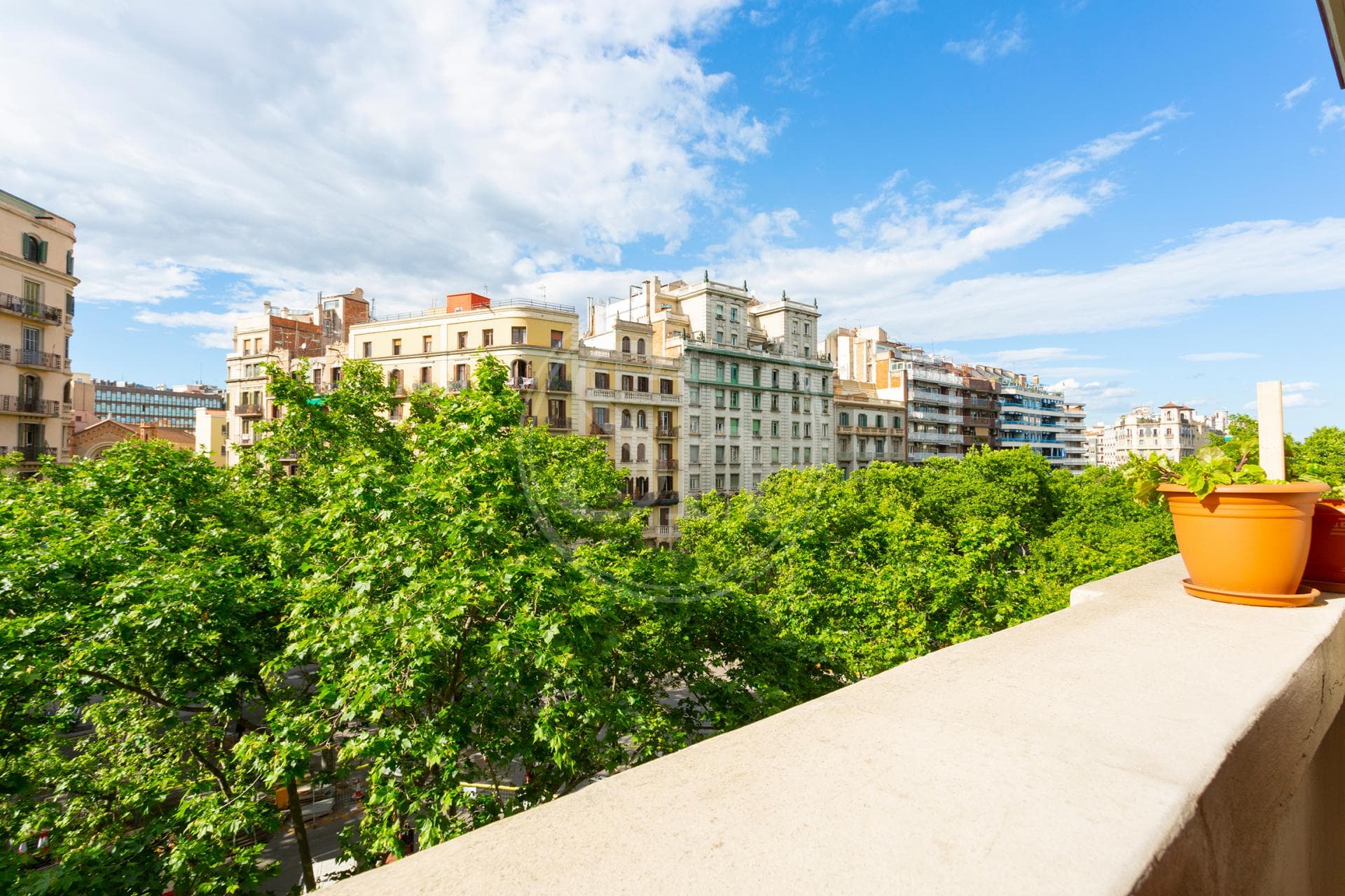 property_image_15