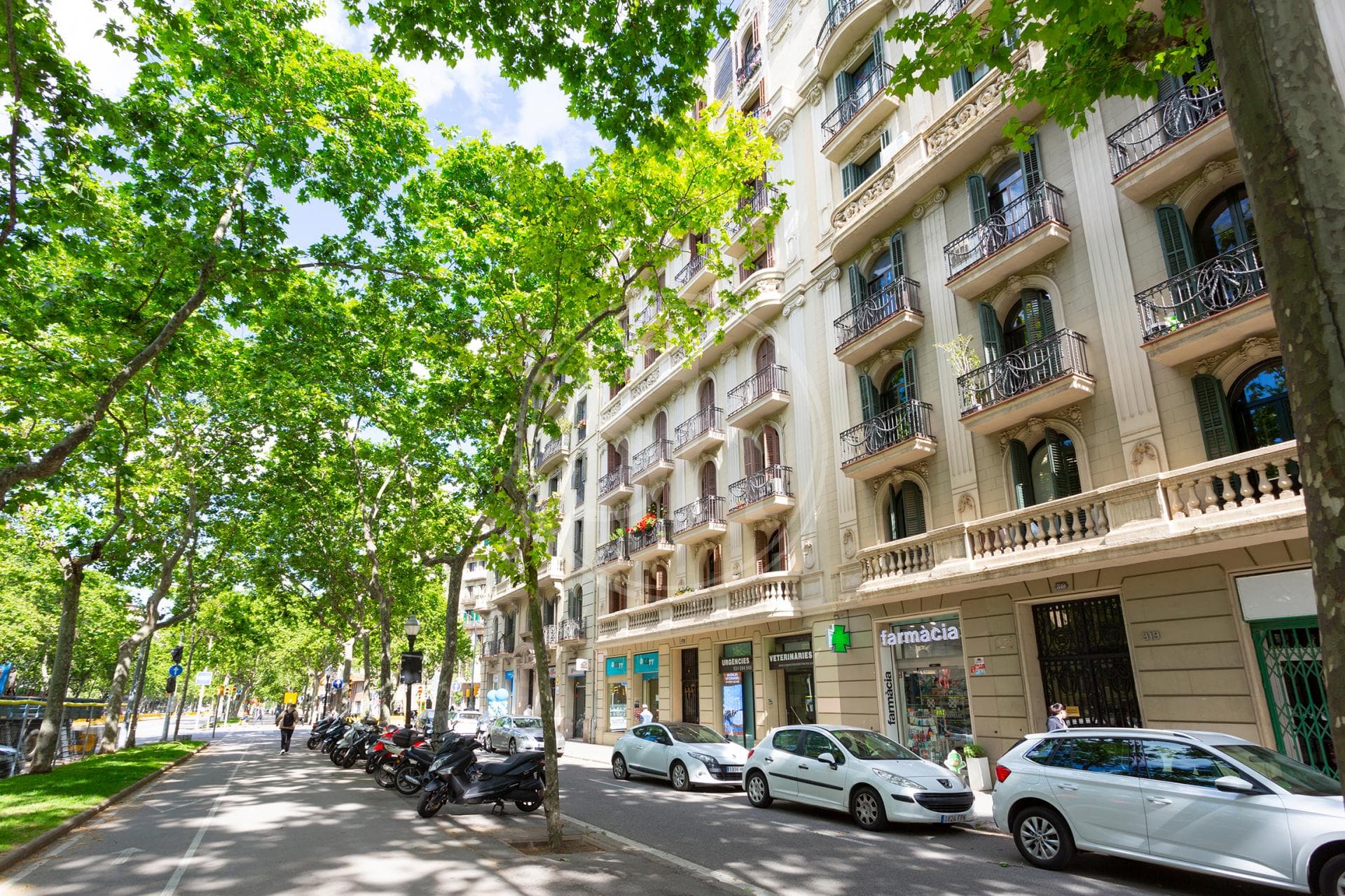 property_image_24