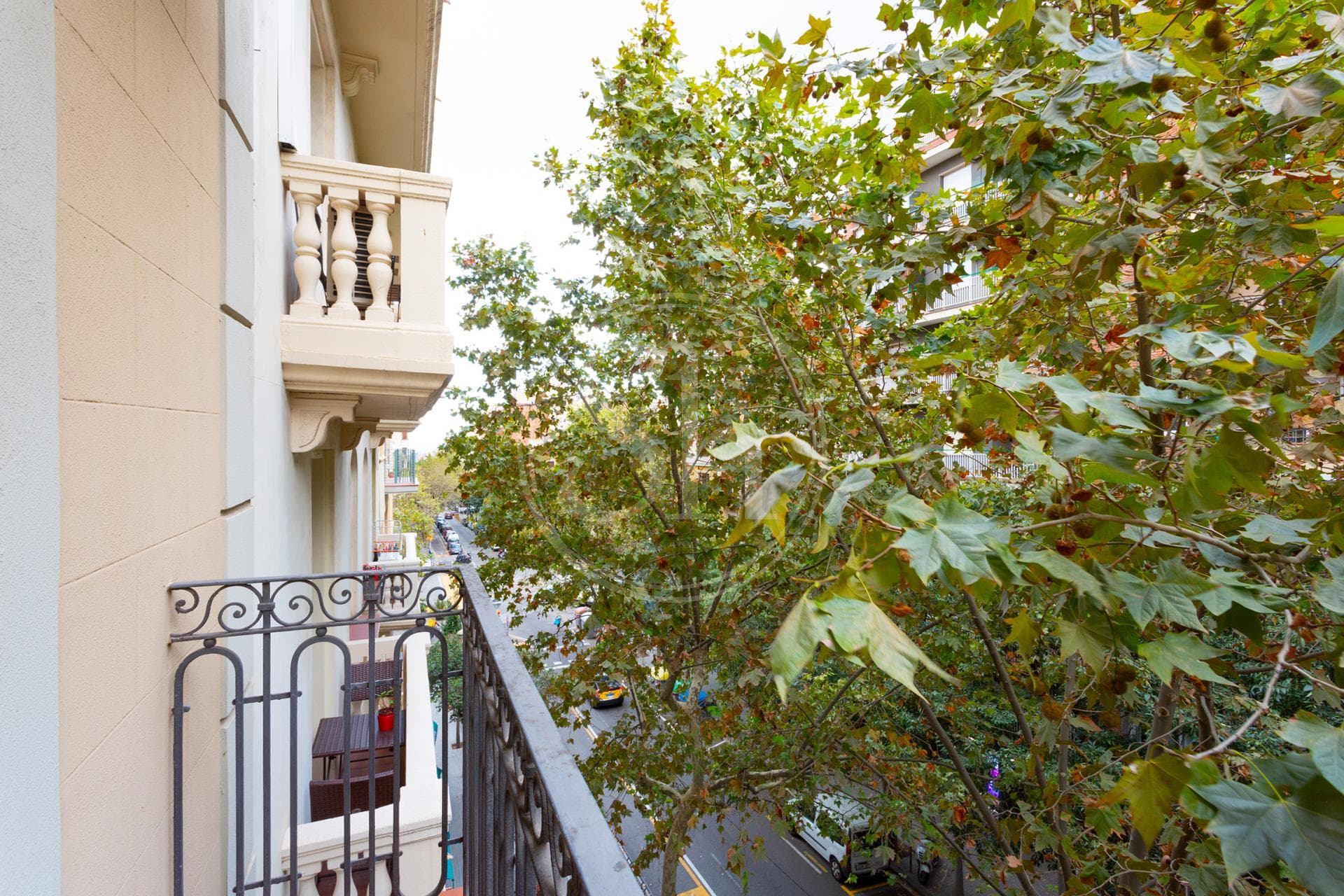property_image_9