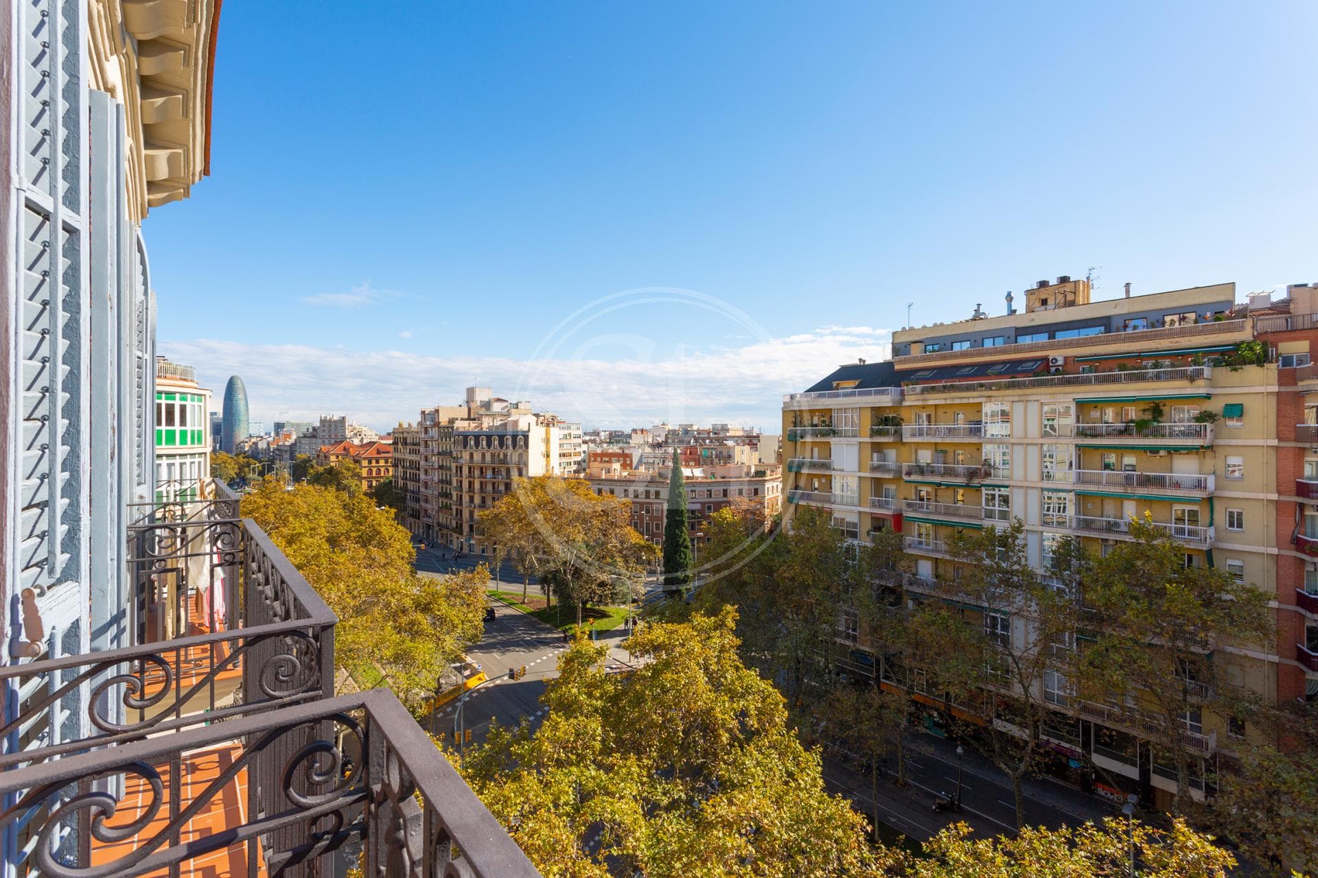 property_image_11