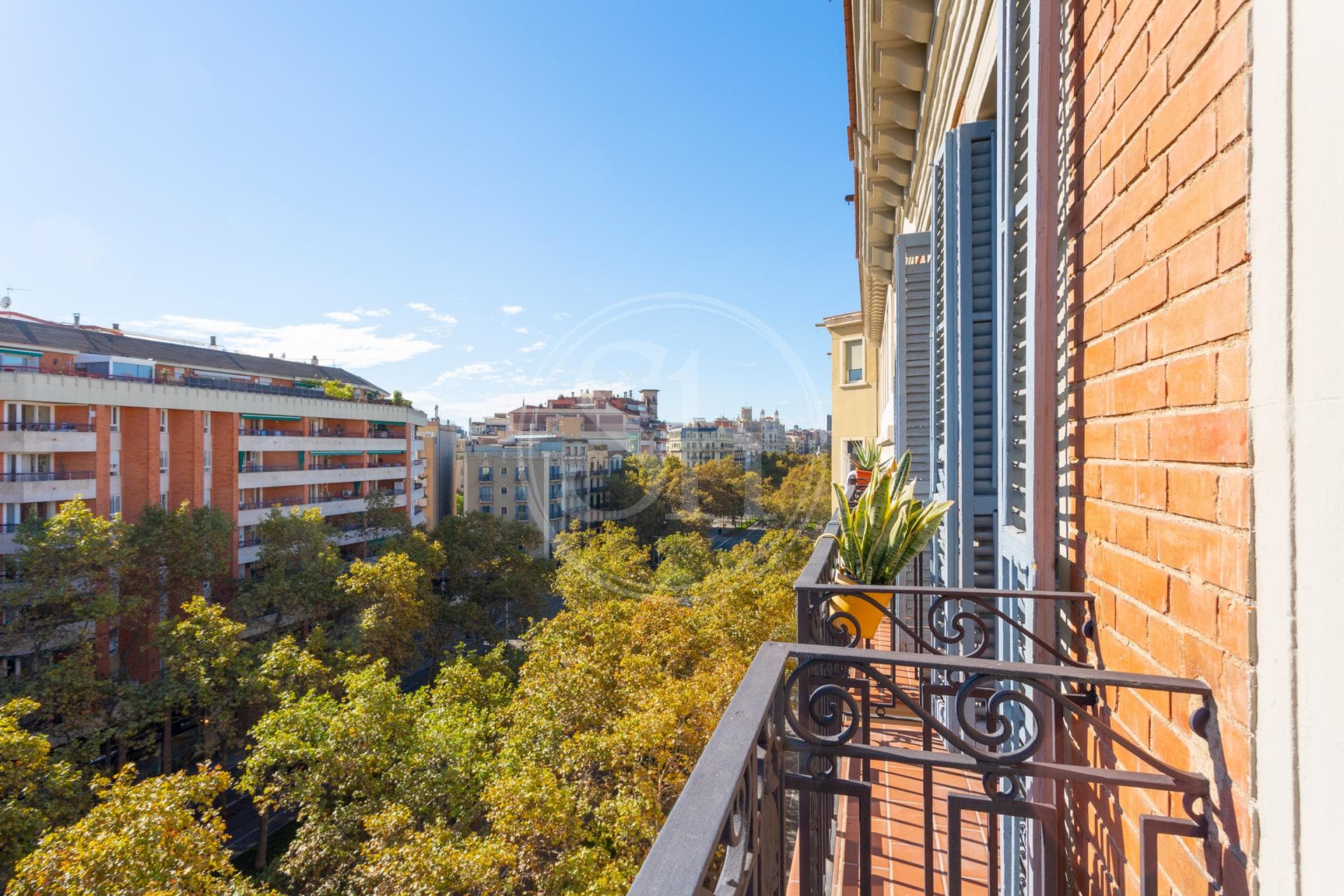 property_image_12