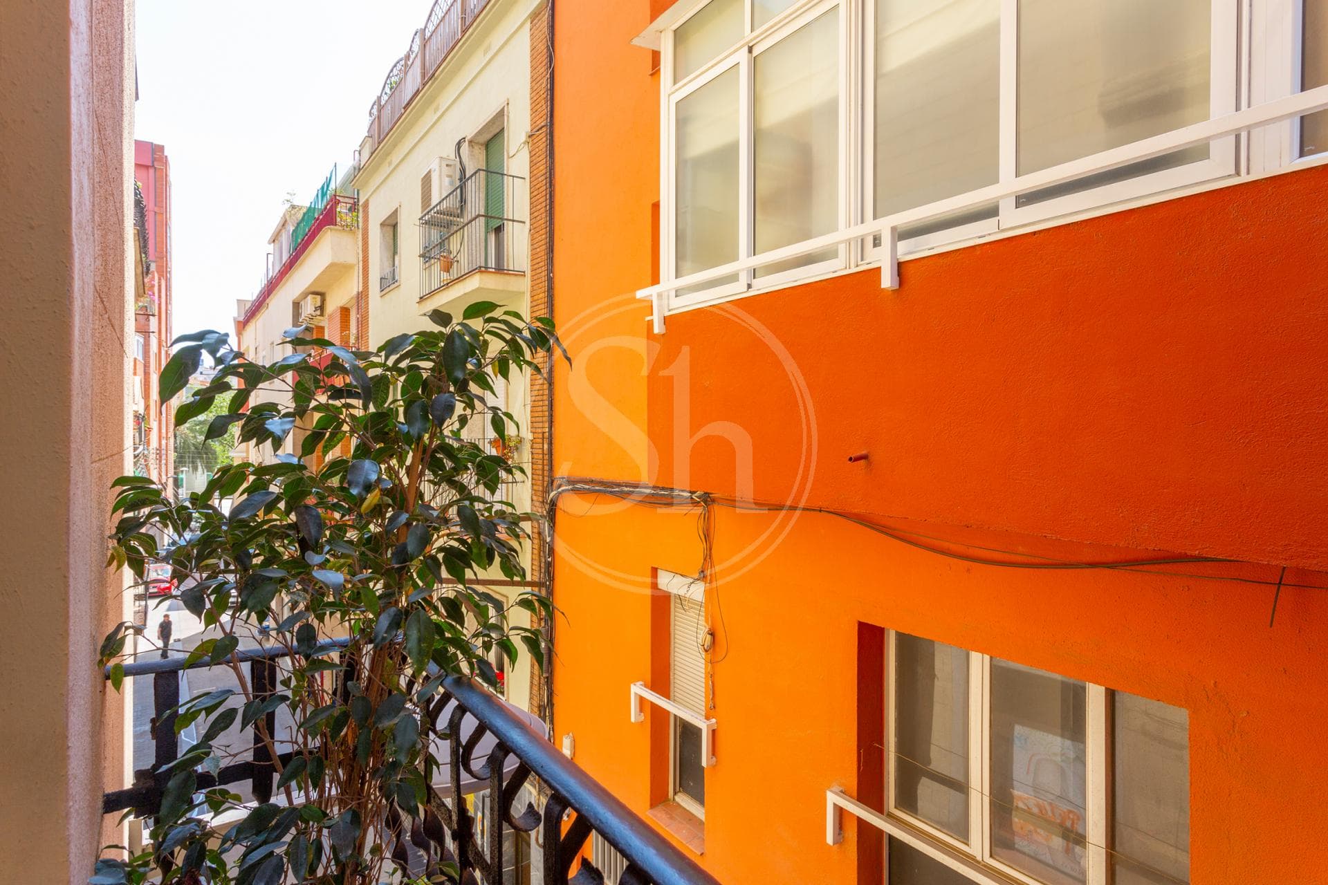 property_image_11