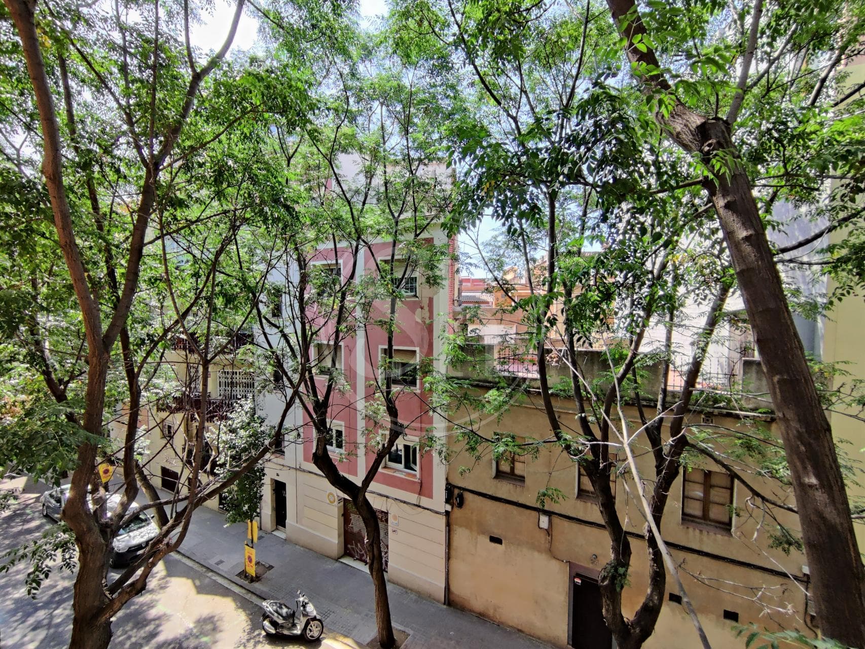property_image_21