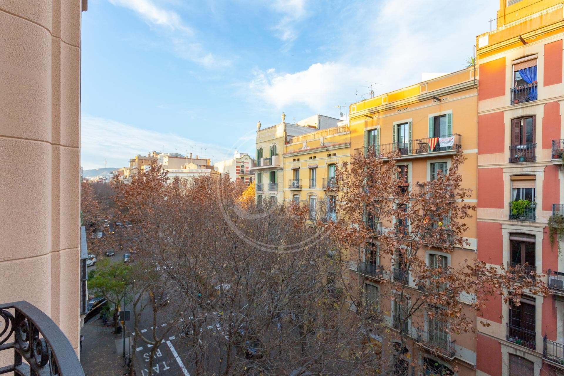 property_image_8