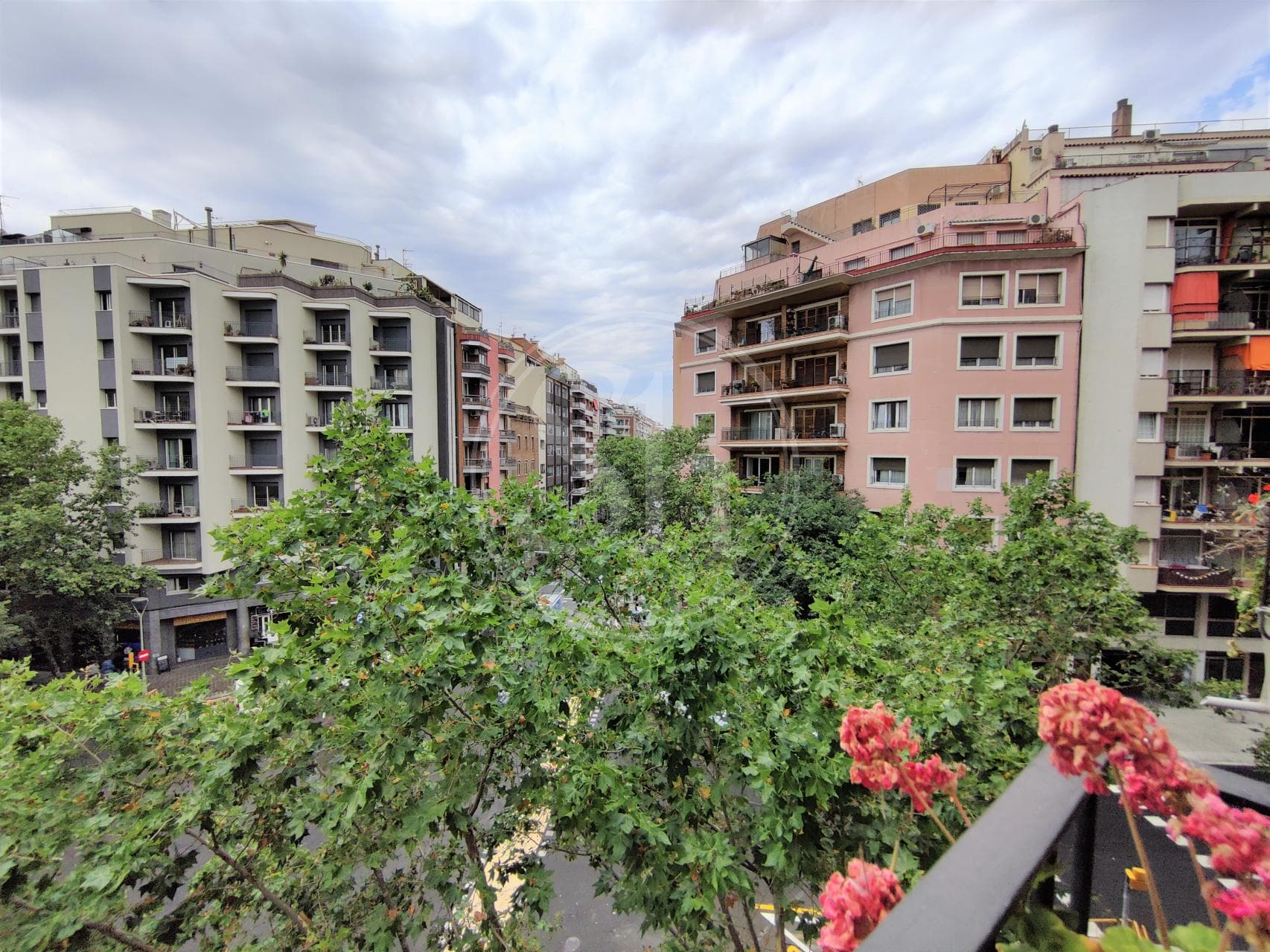 property_image_13