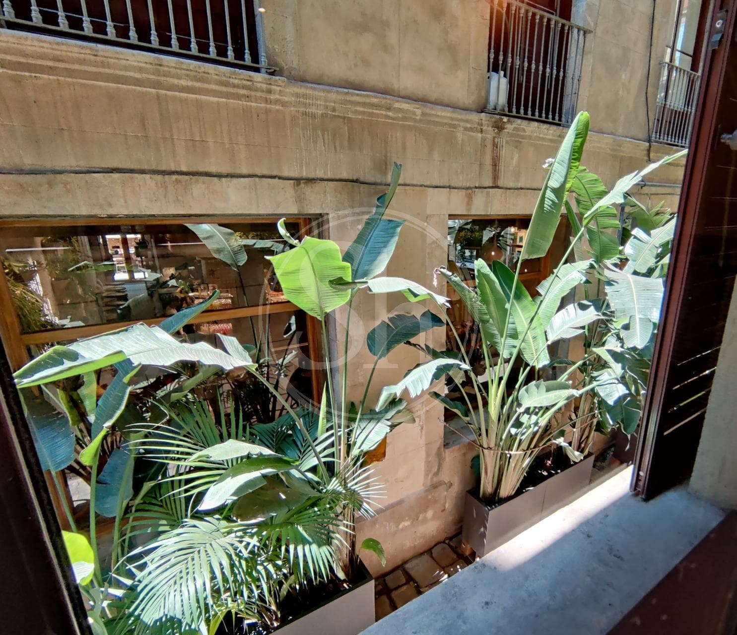 property_image_22
