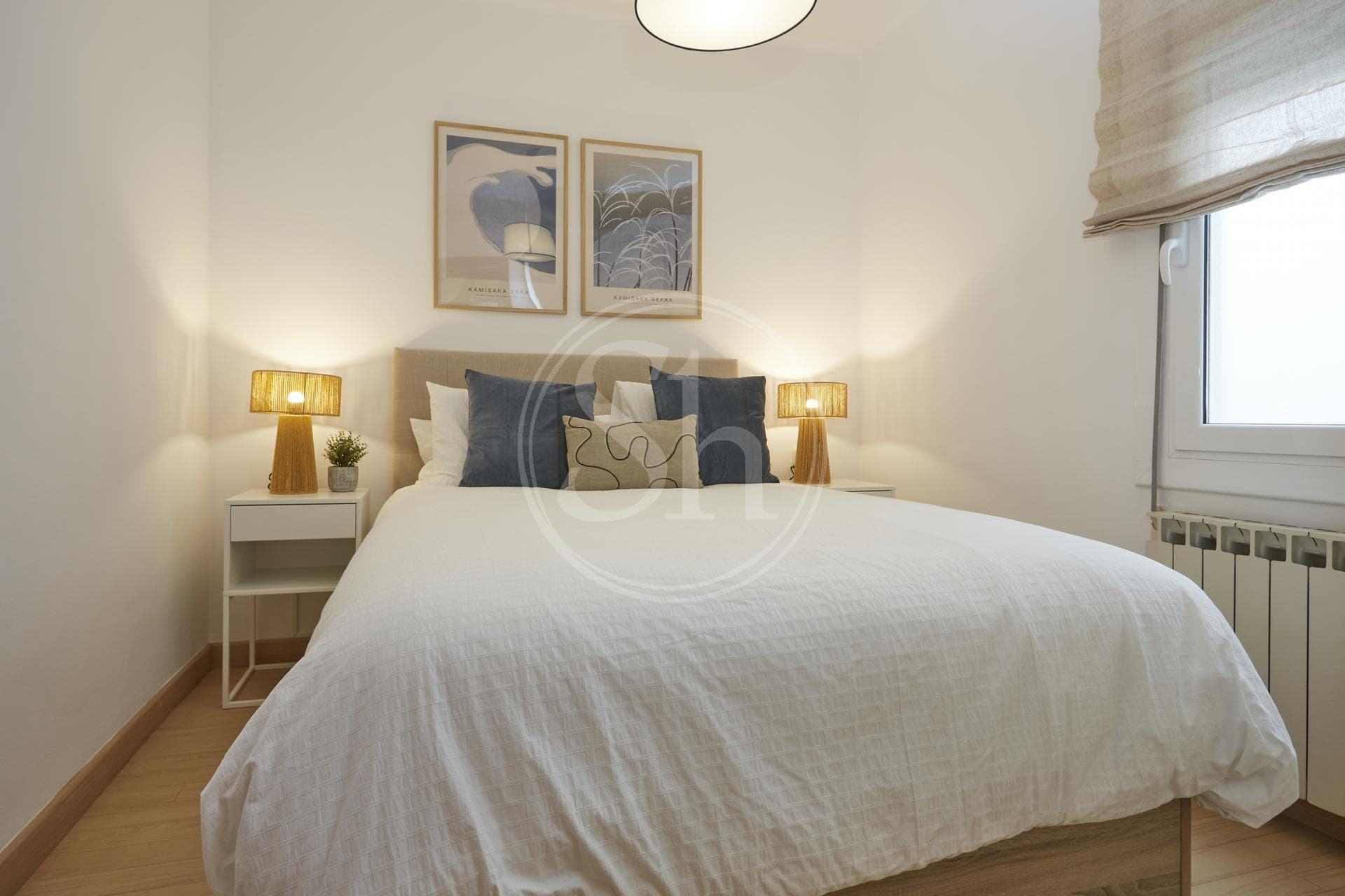 property_image_20