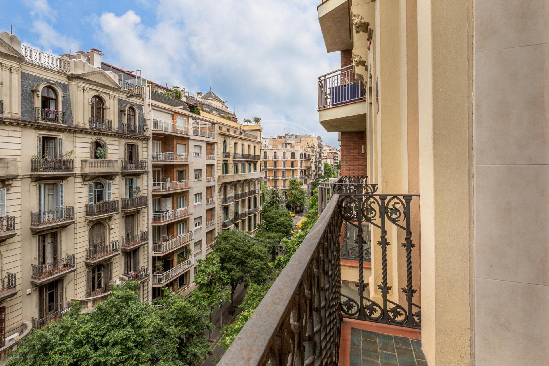 property_image_20