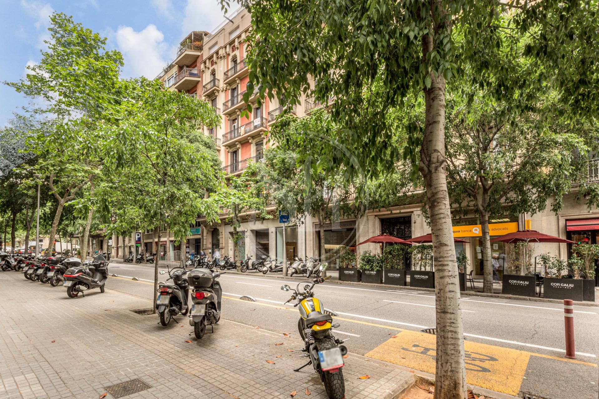 property_image_5