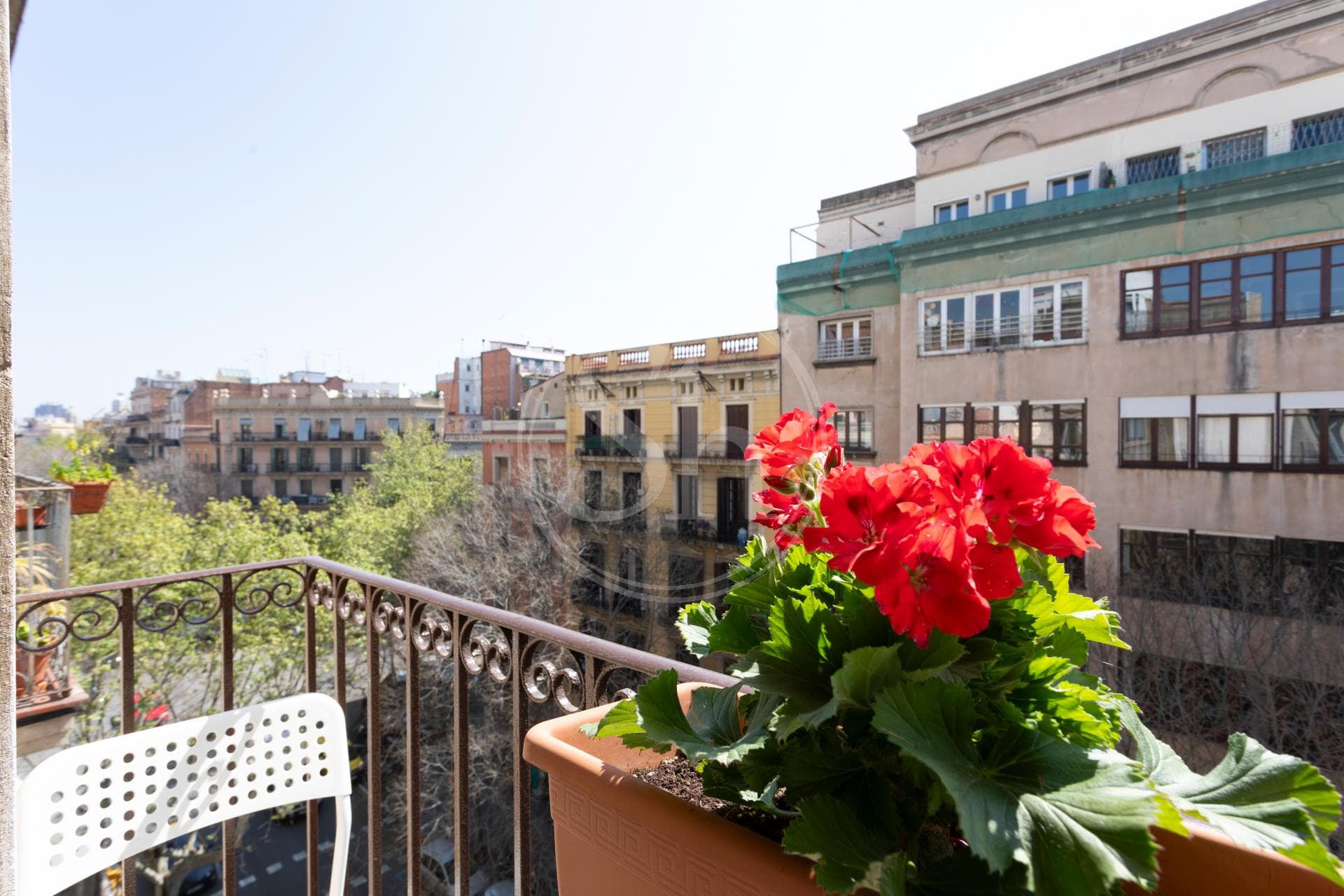 property_image_11