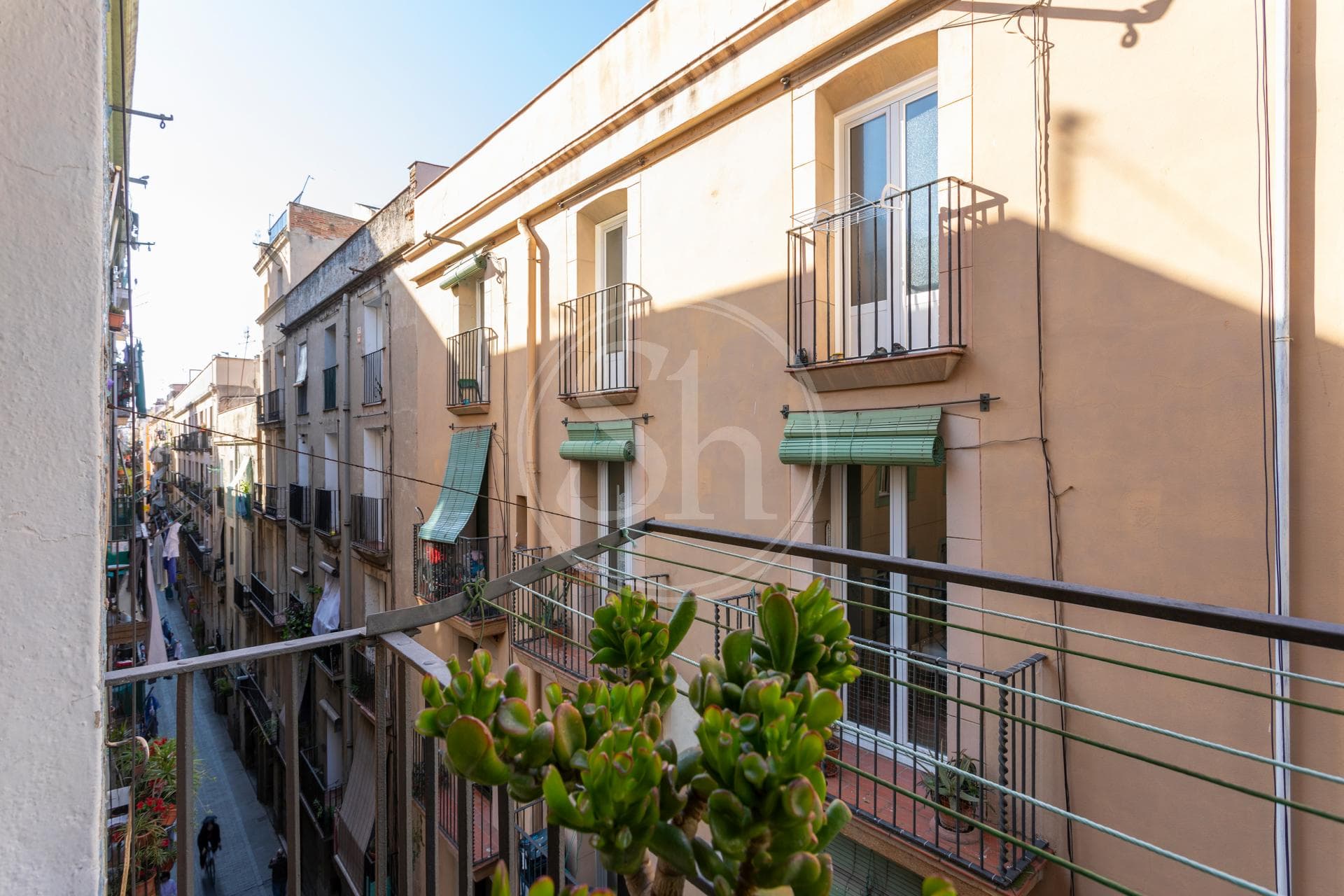 property_image_7