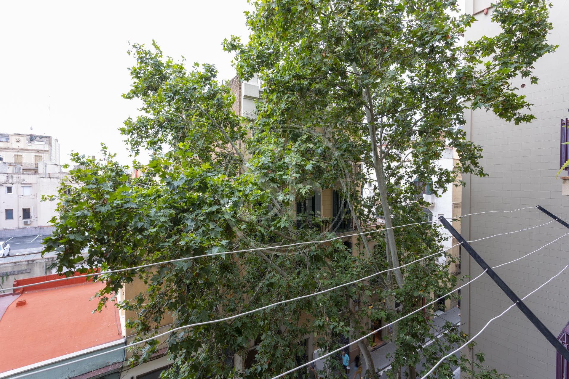 property_image_19