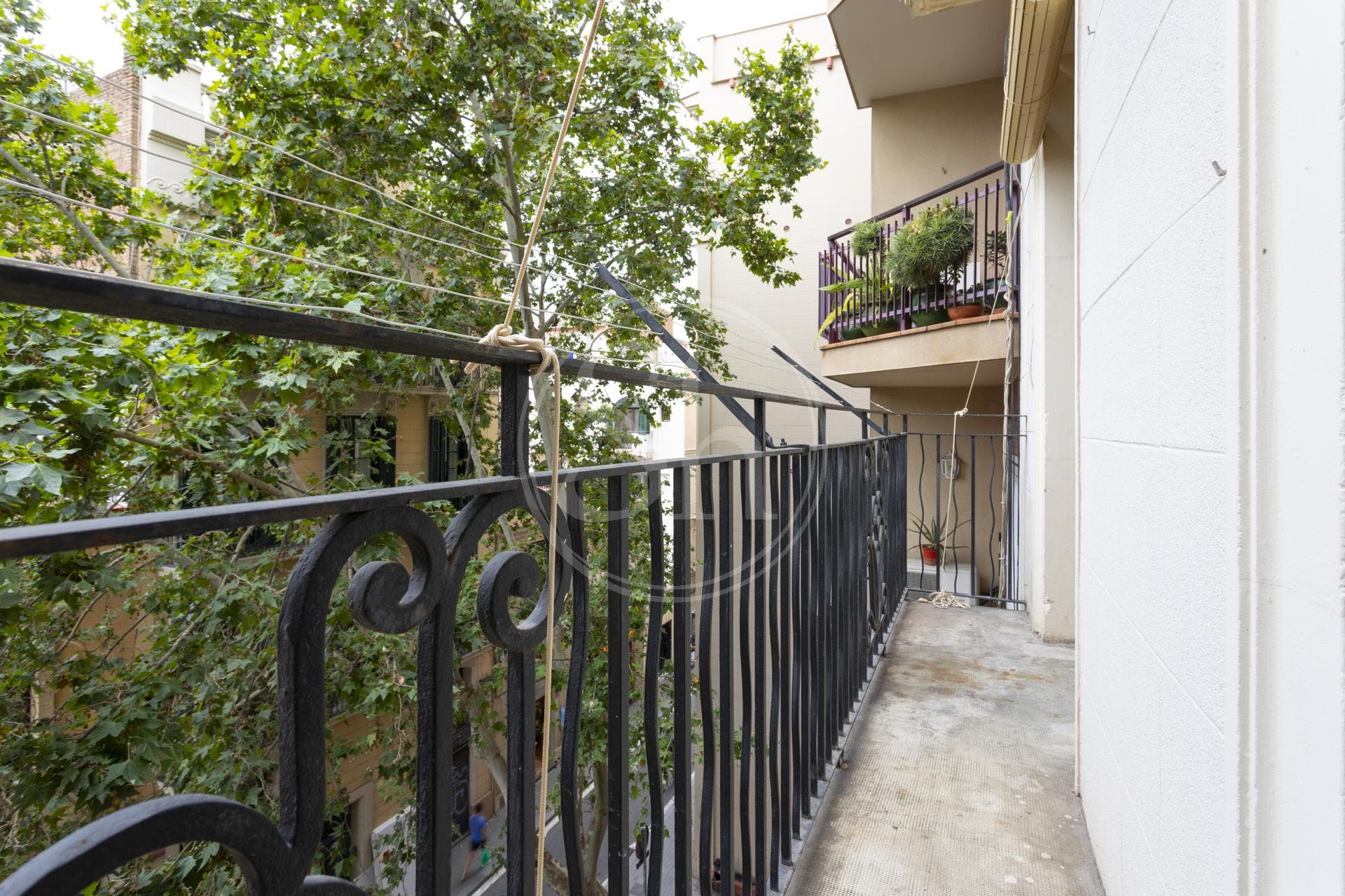 property_image_20