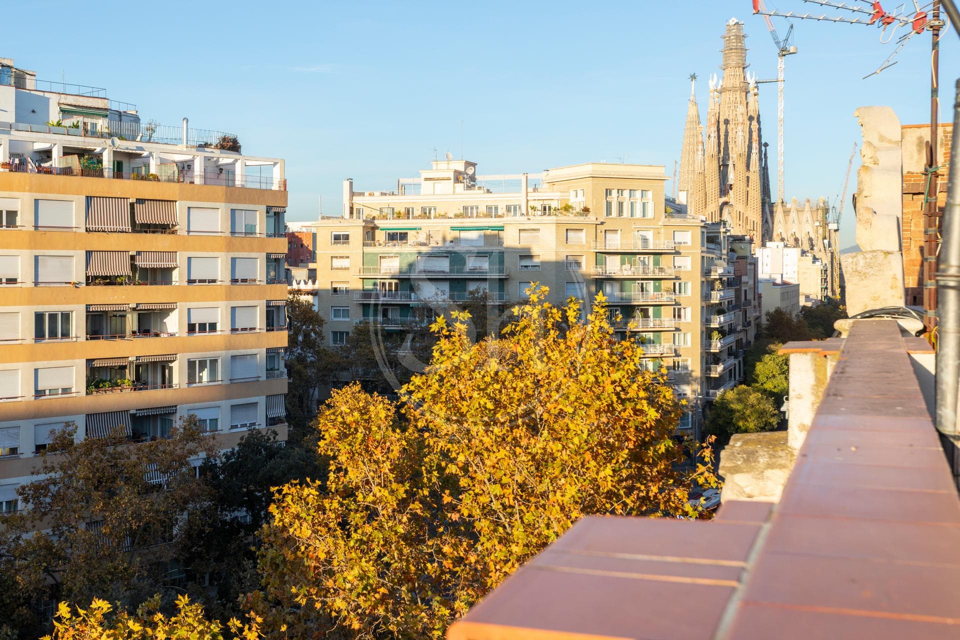 property_image_8
