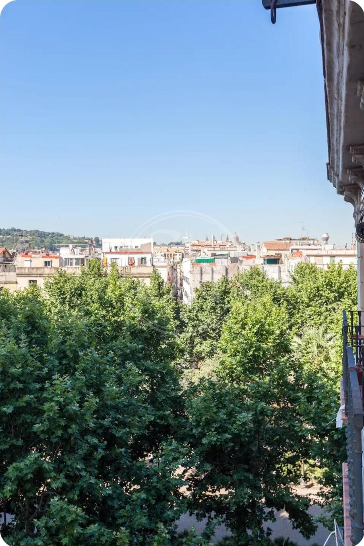 property_image_15