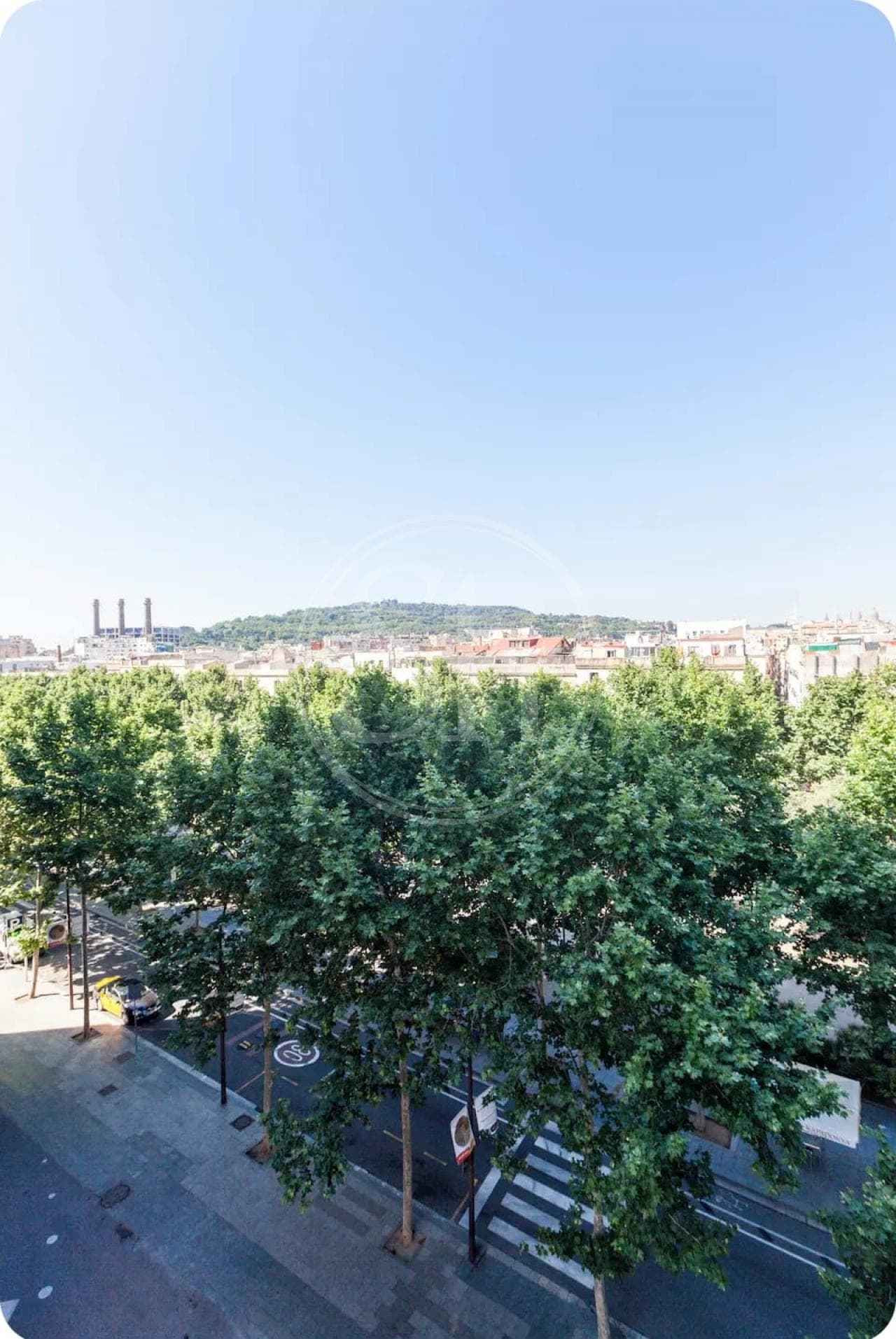 property_image_14