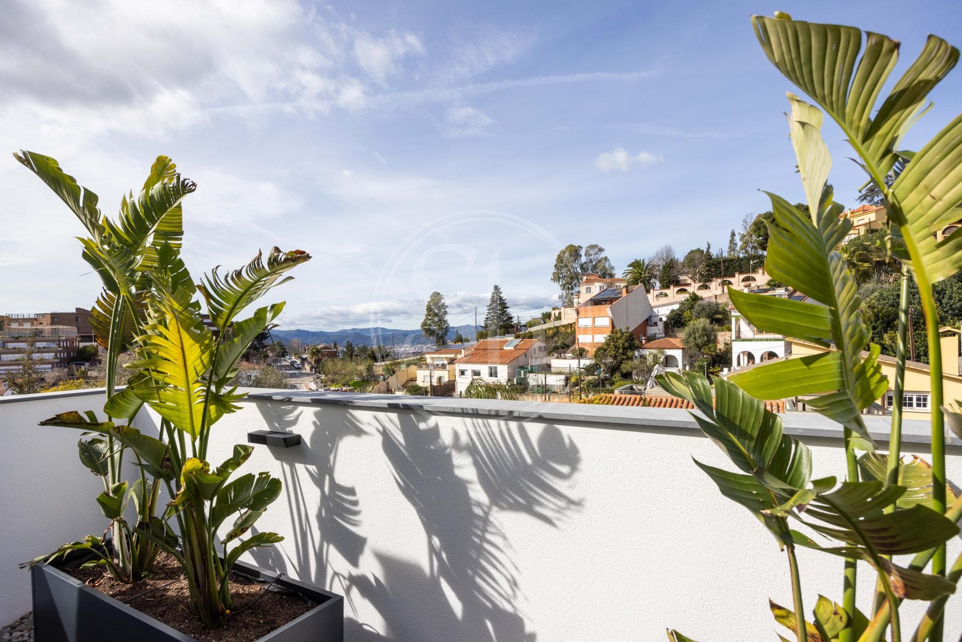 property_image_38