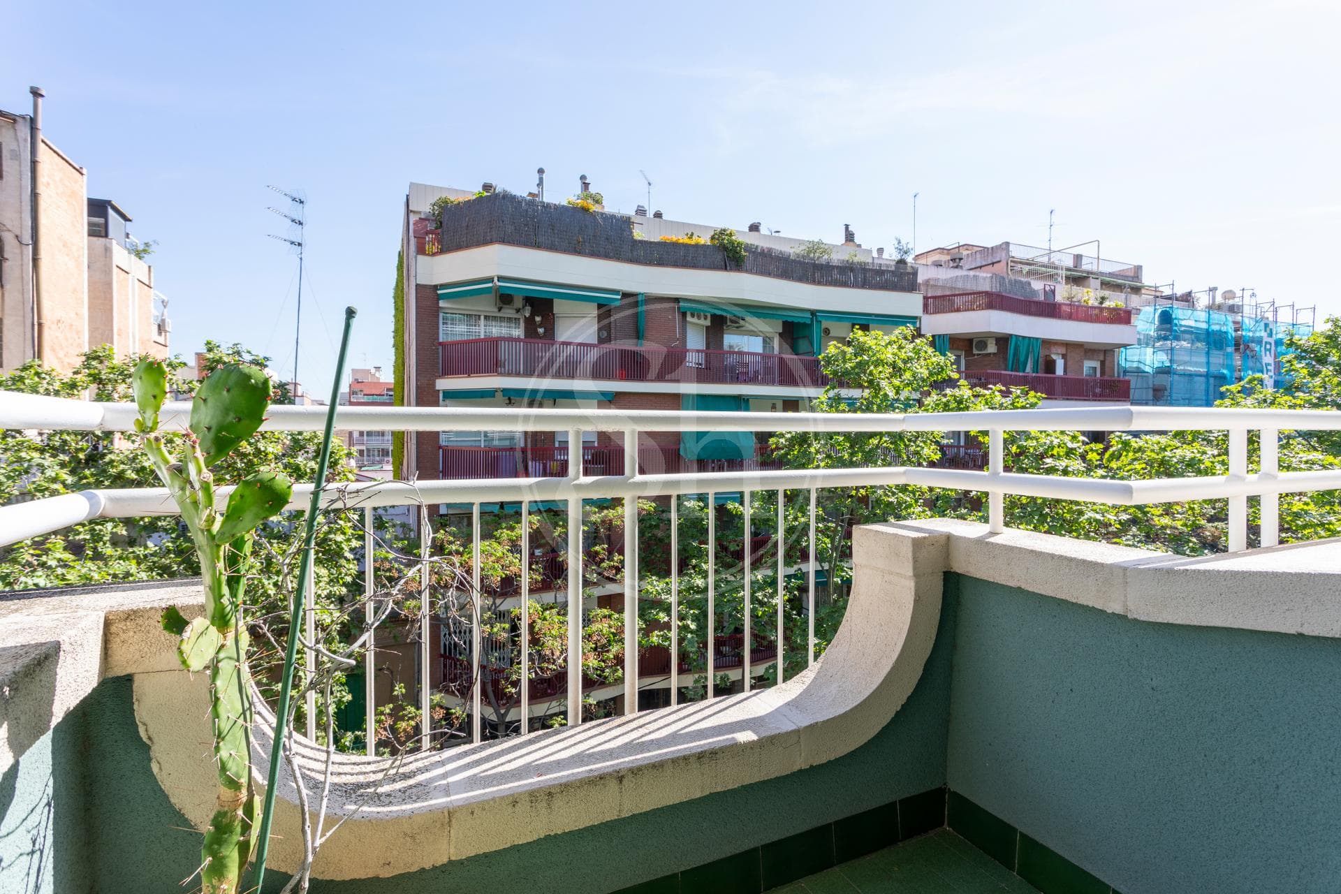 property_image_9