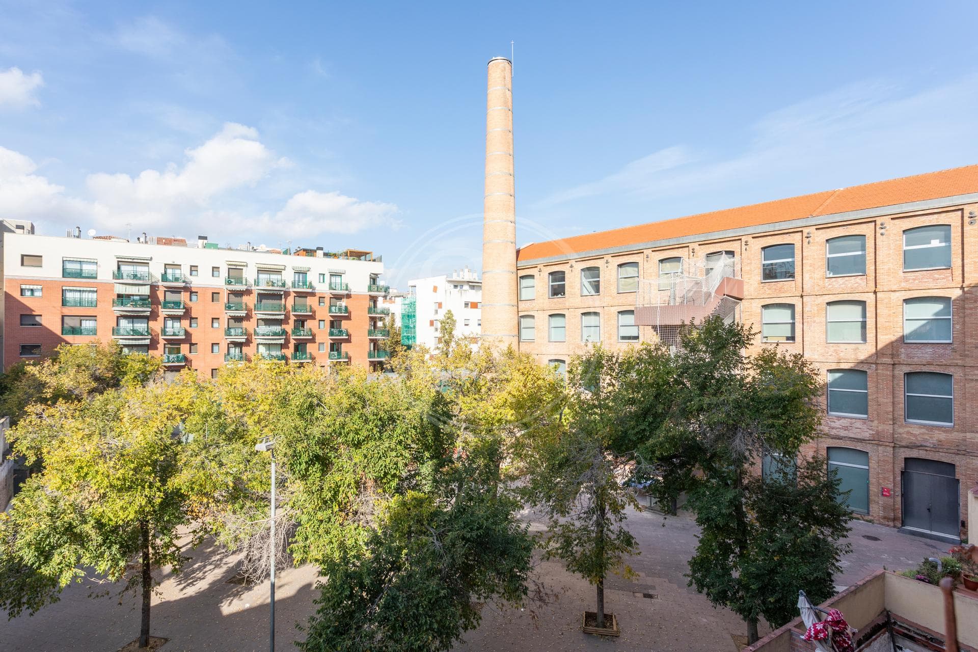 property_image_19
