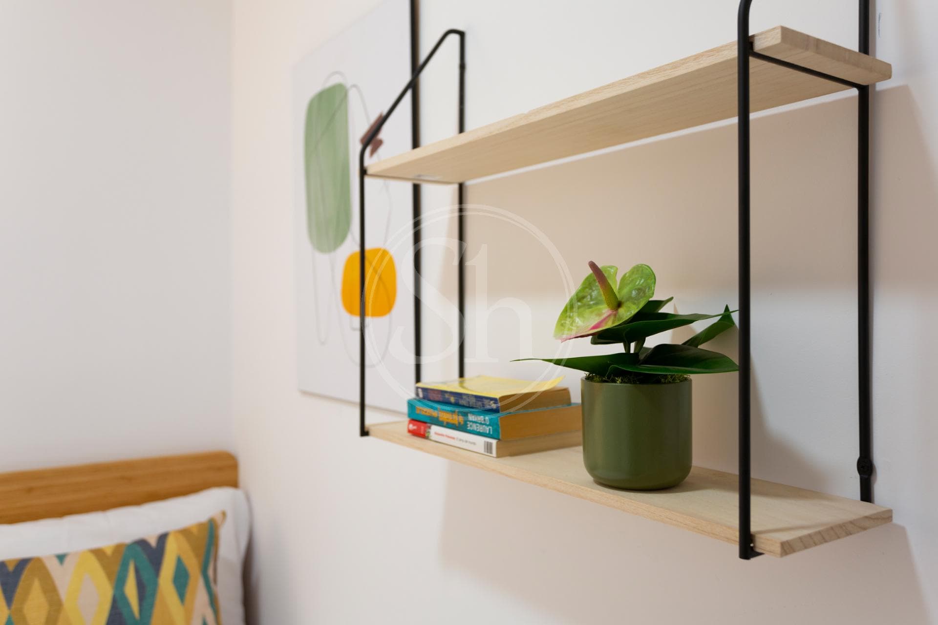 property_image_20