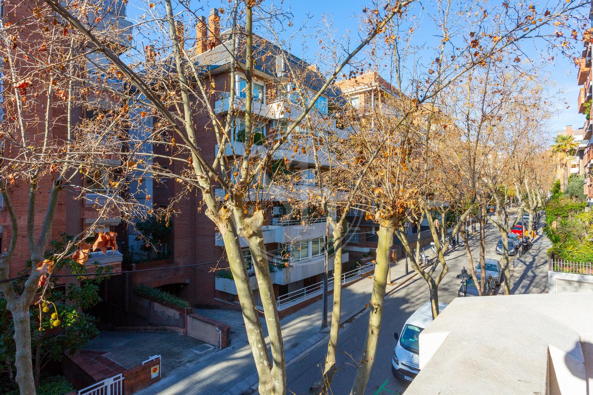 property_image_13