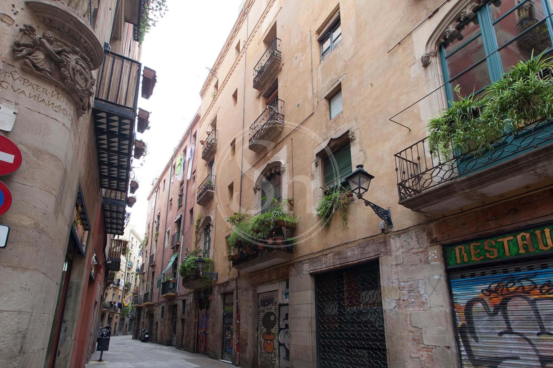 property_image_13