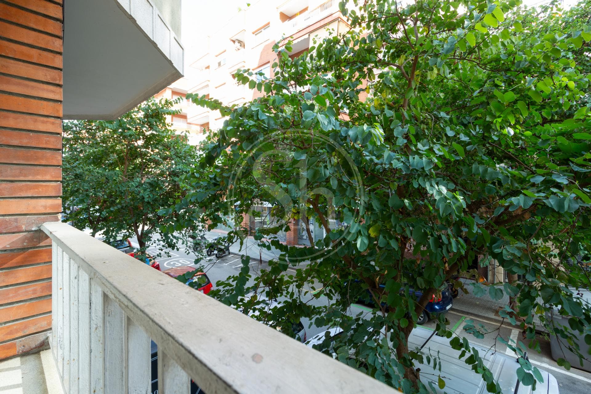 property_image_6