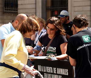 Pisos de lloguer a Barcelona