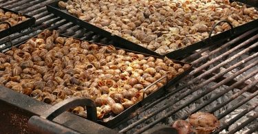 Pisos de lloguer a Barcelona