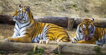 zoo de barcelona