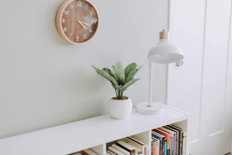 moble amb llibres, làmpara i una planta