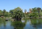 on the lake in parc de la ciutadella barcelona