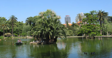 on the lake in parc de la ciutadella barcelona
