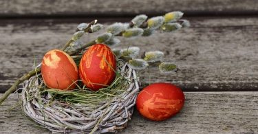 easter eggs in nest